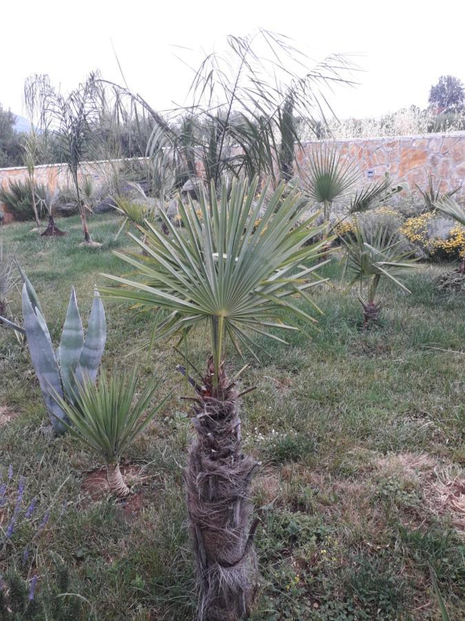 Palm Paradise Stobreč Екстериор снимка